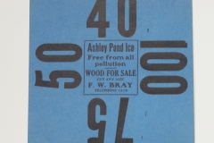 Ashley Pond Ice
