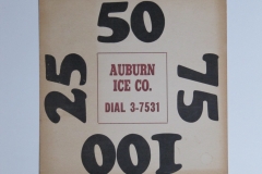 Auburn Ice