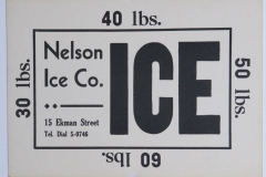 Nelson Ice