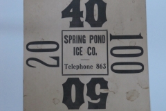 Spring Pond Ice Co.